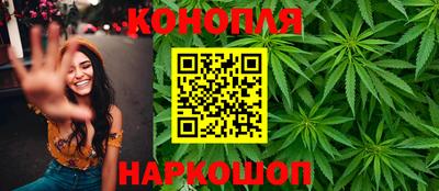 гашик Донской